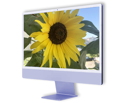 Installation Apple Hardware